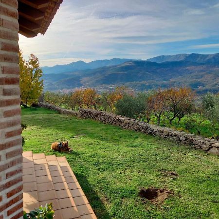 La Cirujana De Gredos Villa San Esteban Del Valle Eksteriør billede