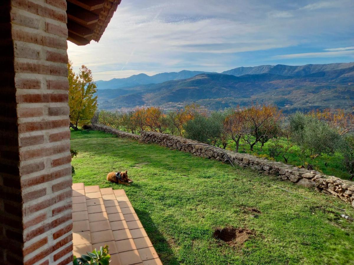 La Cirujana De Gredos Villa San Esteban Del Valle Eksteriør billede
