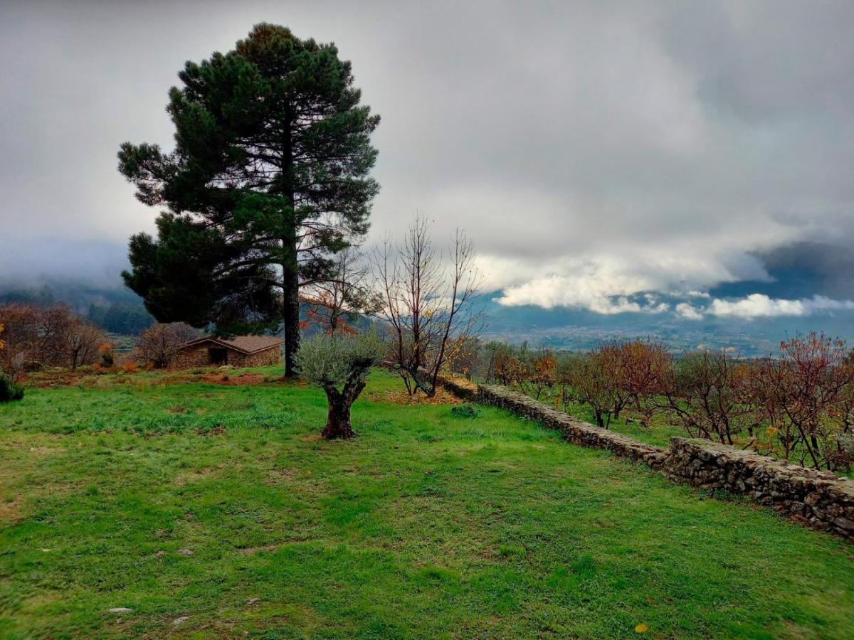 La Cirujana De Gredos Villa San Esteban Del Valle Eksteriør billede
