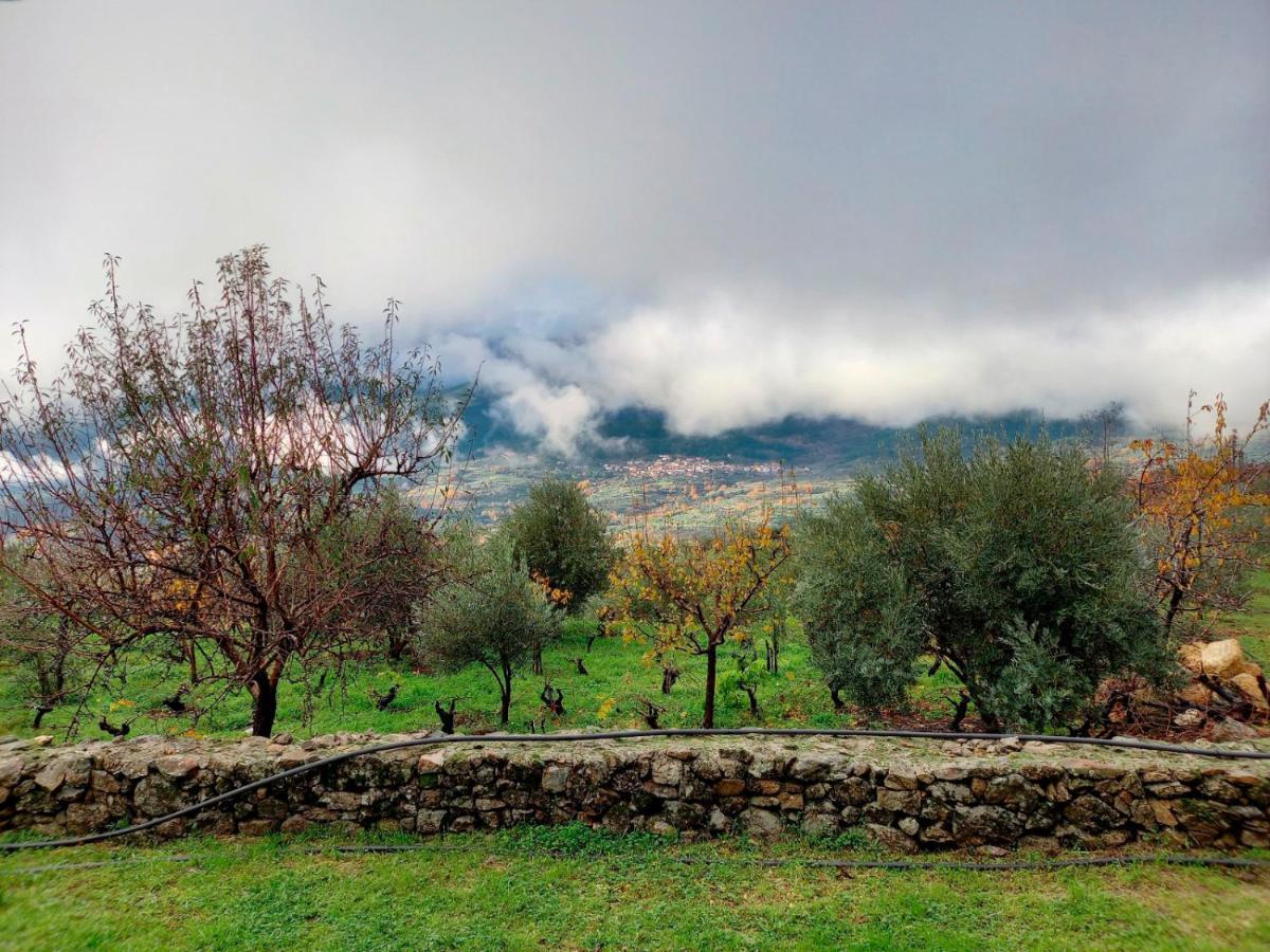 La Cirujana De Gredos Villa San Esteban Del Valle Eksteriør billede